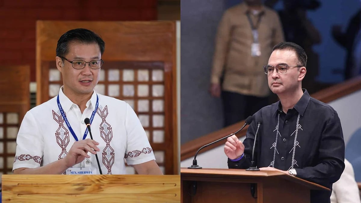 Carpio Says Gatchalian Bloc Can Win Senate Vote With 12