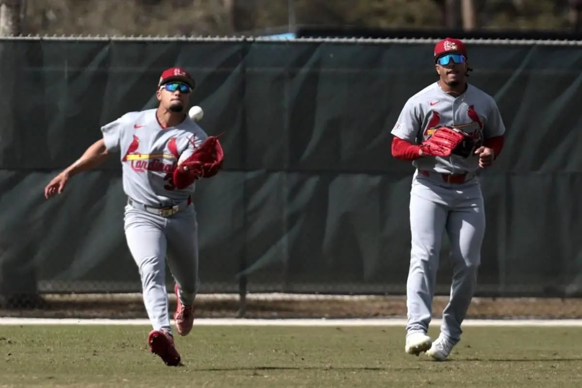 Cardinals Promote Bryan Torres After Nathan Church Injury
