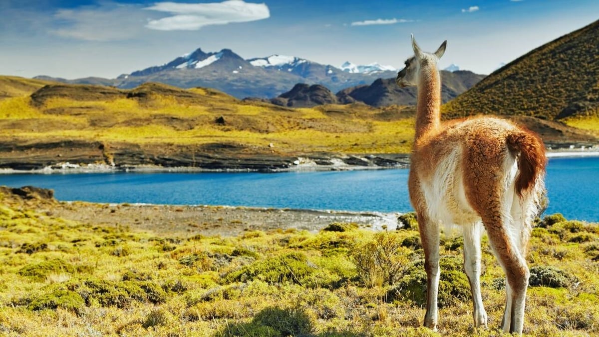 5 Reasons Chile Tops Travel Buzz Now