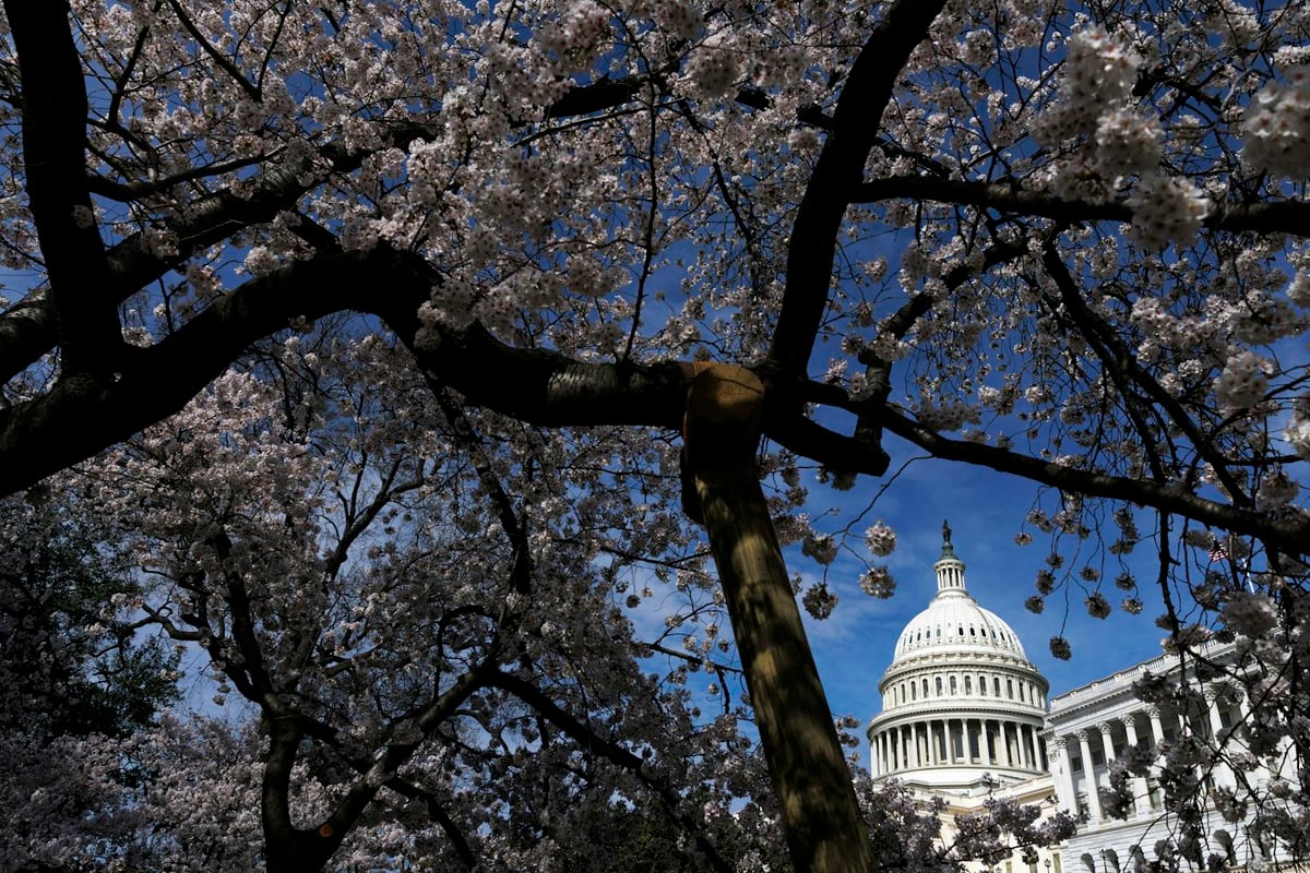 Midterms Polls Test Trump Voter Backlash