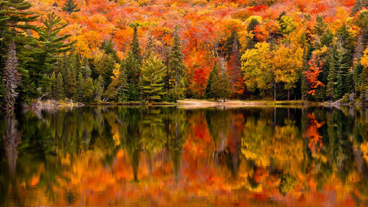 Plan Your Fall Foliage Road Trip - 2026 Peak Color Forecast