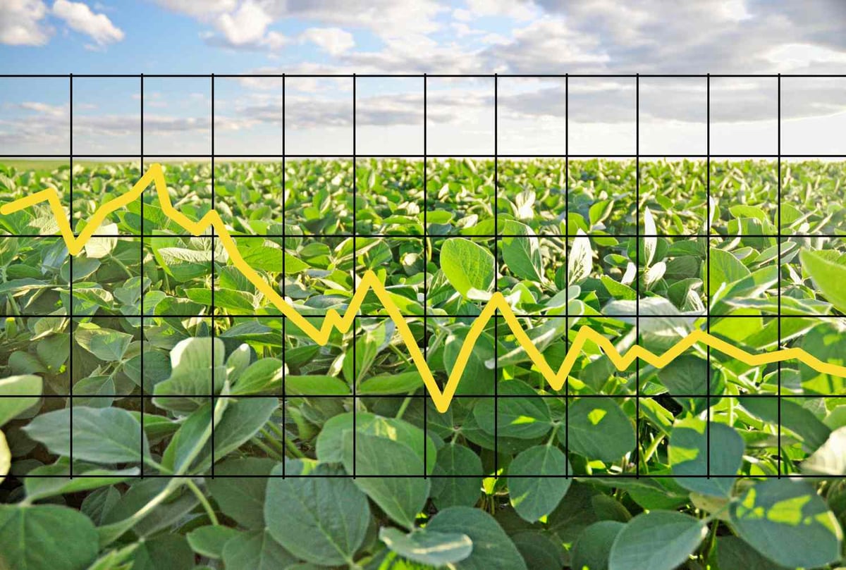 Grain Prices Slip Before Key Market Report