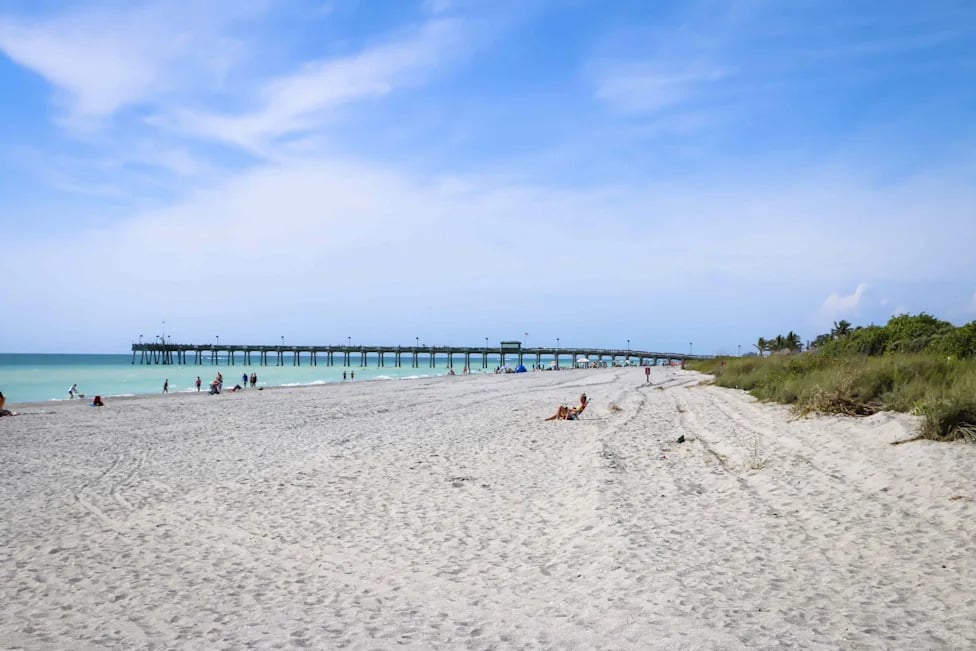 Florida Beach Town Charms With Shark Teeth, Dog-Friendly Shores