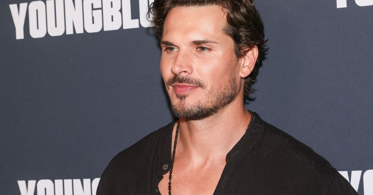 DWTS Pro Gleb Savchenko Accuses Ex of Taking Daughters to China