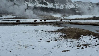 6 Passport-Free Trips for Americans