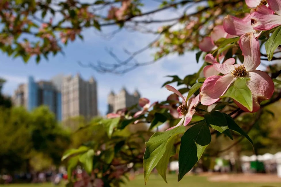 Southern Charm Awaits: Best Cities for a Quick 3-Day Escape