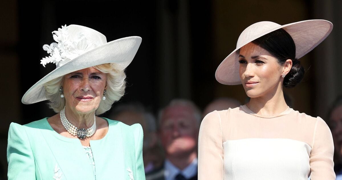 Queen Camilla Is Reportedly Wary Of Meghan Markle