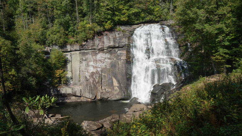 East Coast Mountain Forest Tops America's Hiking List