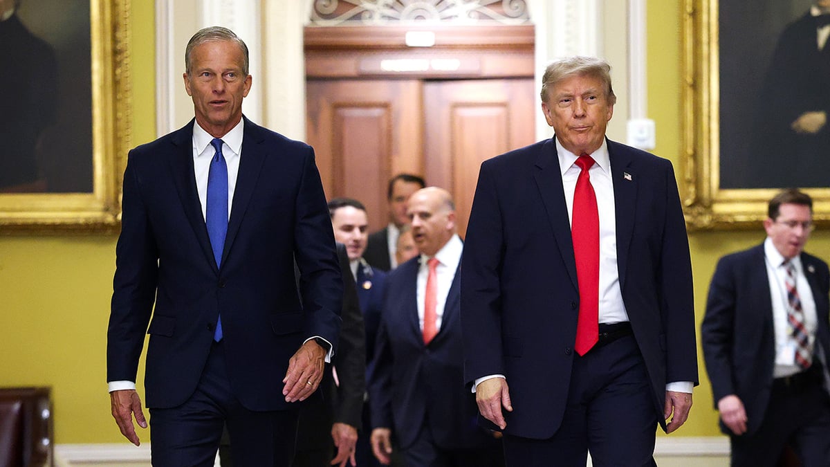 Johnson's Strategy May Be GOP's Last Shot at Passing SAVE America Act