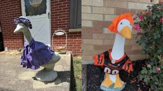 Porch Geese Are Back - And Gen Z Wants In