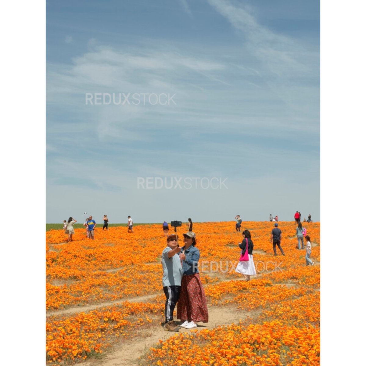 7 Best US State Parks for Spring Visits