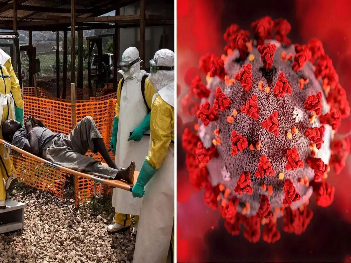Ebola Explained - Spread, Symptoms And India Outbreak Questions