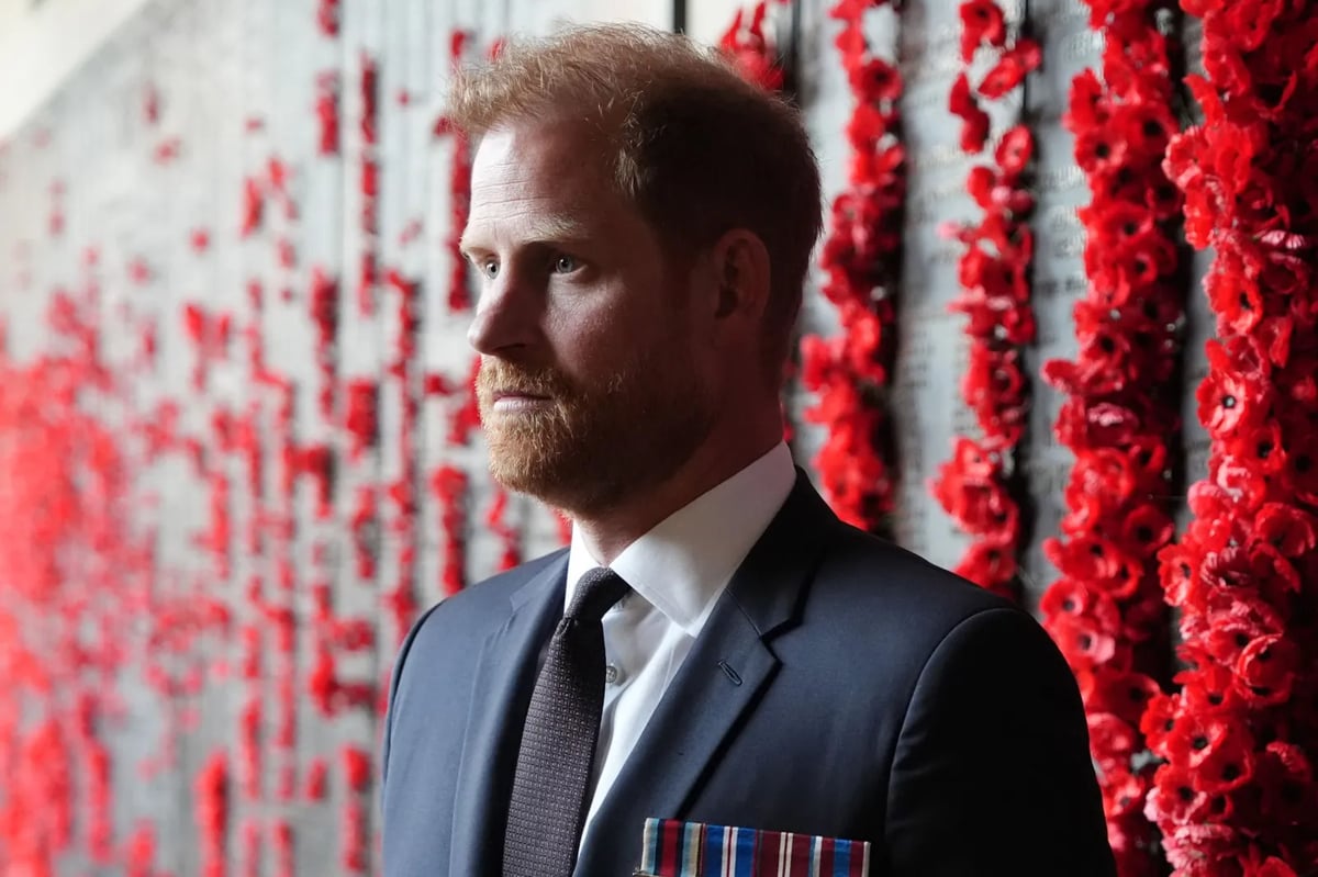 Prince Harry's Netflix Project Targets Trump With Subtle Shade