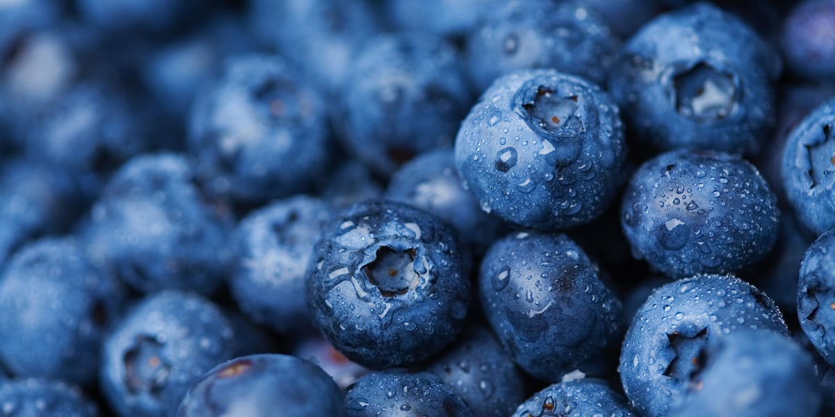 Blueberries Recalled Nationwide Over E. Coli Concerns