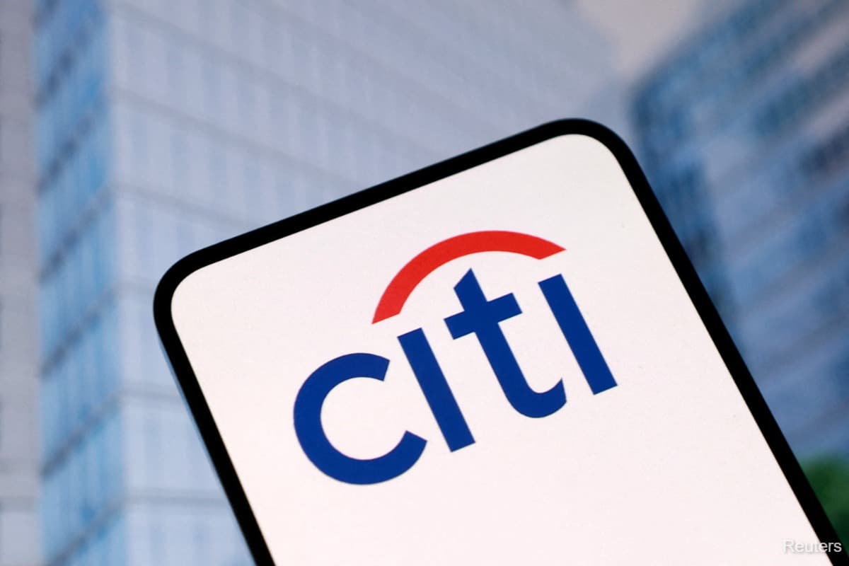 Ex-Citi Director's Firing Suit Raises Trump Account Questions