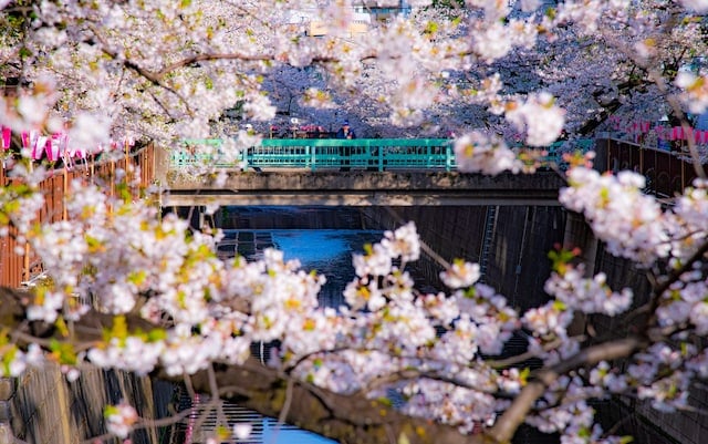 Perfect Weekend Guide to Tokyo Megalopolis