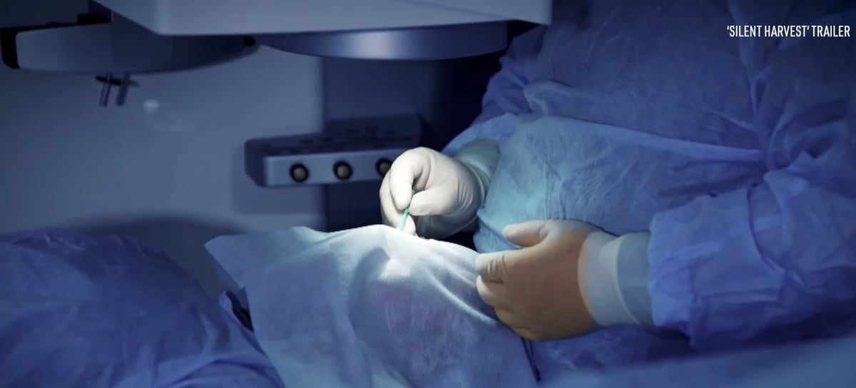 'Silent Harvest' Documentary Sheds Light on China's Organ Crimes