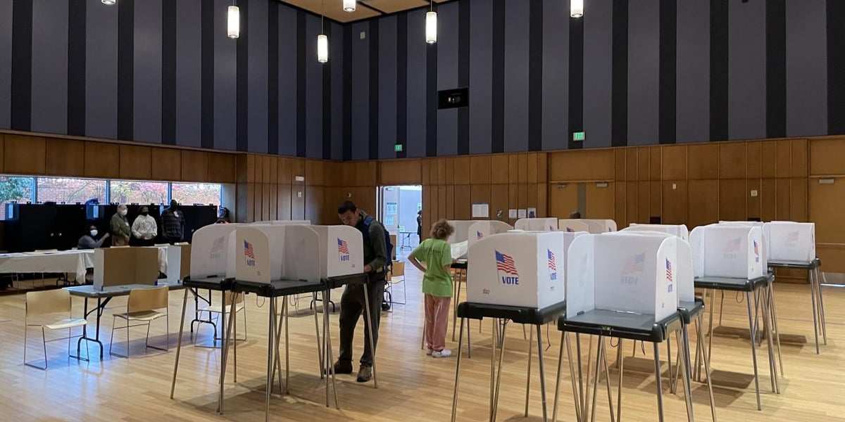 Primary Voters Lack Representation, Yet Non-Voters Won't Turn Out