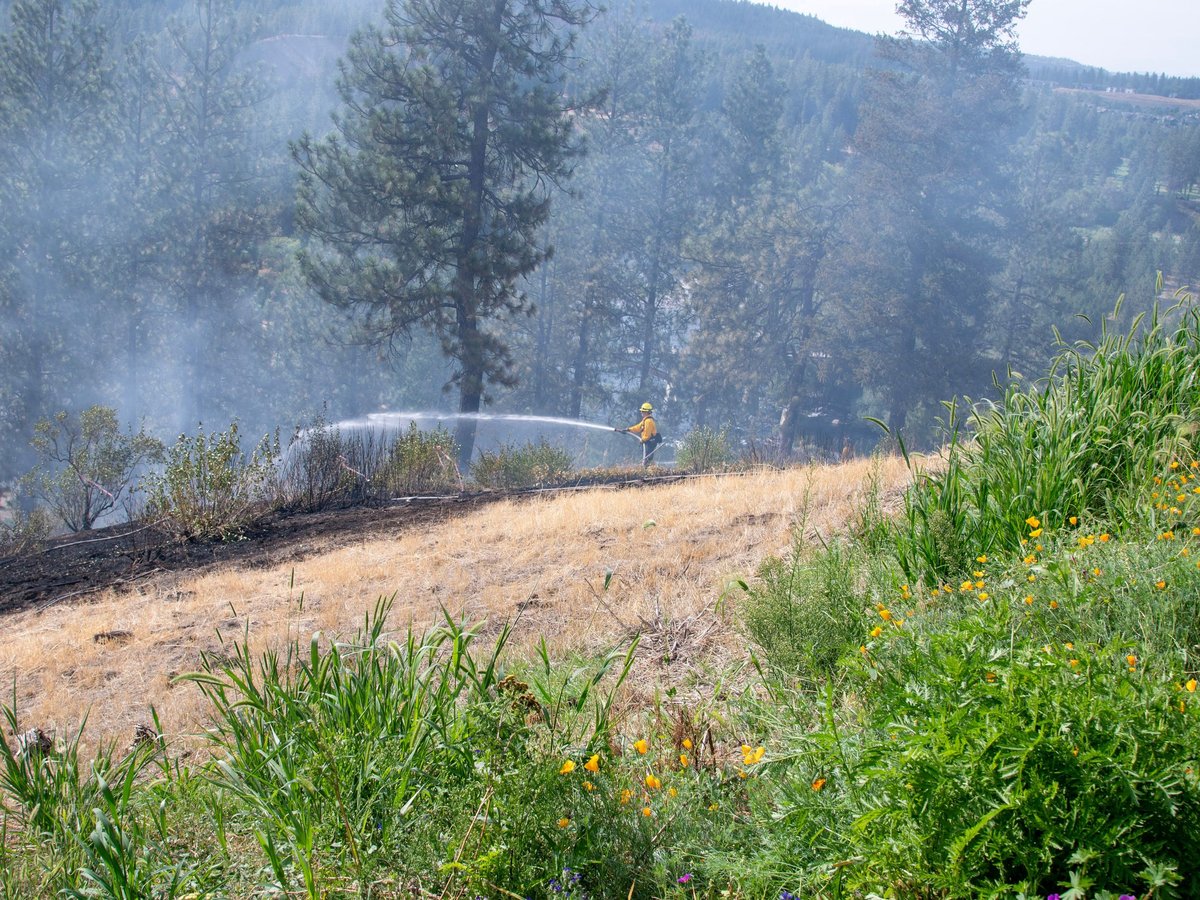 White House Plans New Wildland Fire Service for Burn Season