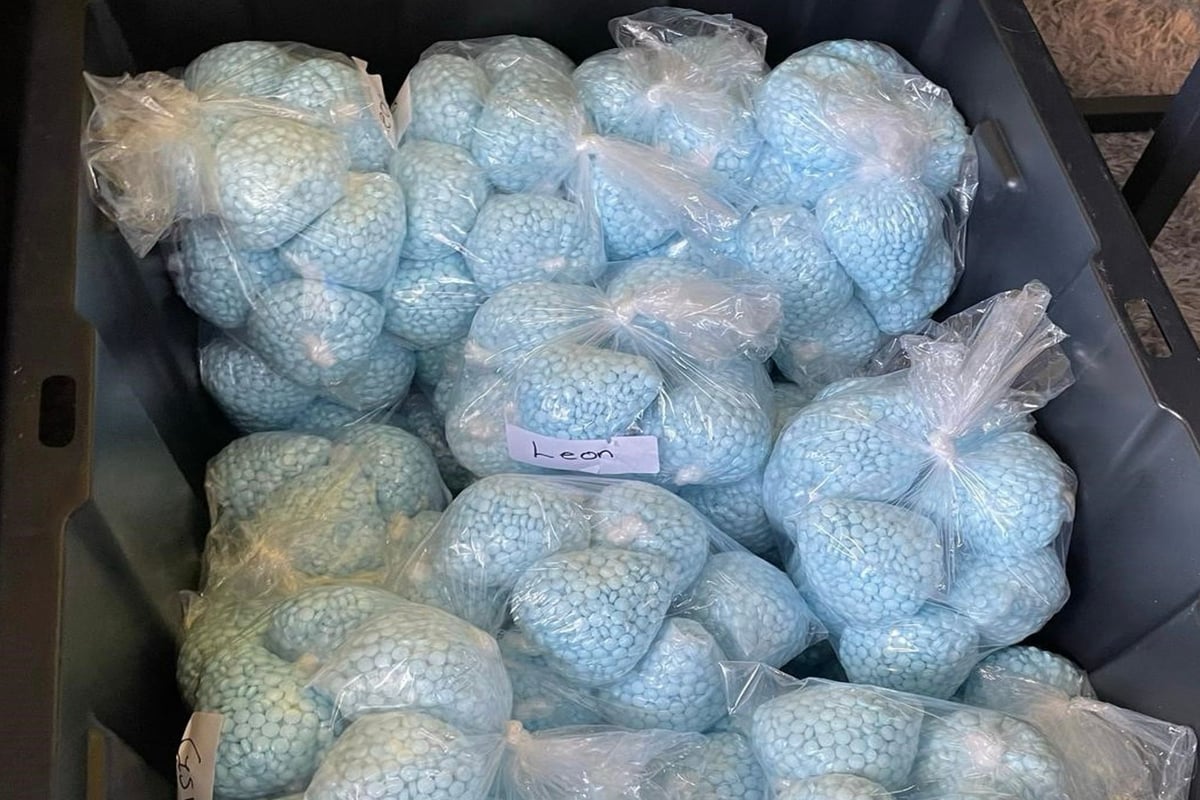 DEA Watchdog Probes Claims Agents Let Fentanyl Flood Streets