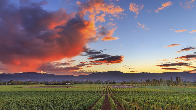 5 Top California Spots to Retire in Napa Valley