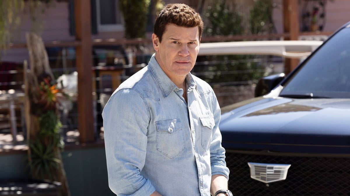 David Boreanaz's Crime Series Hits Netflix - With a Major Catch