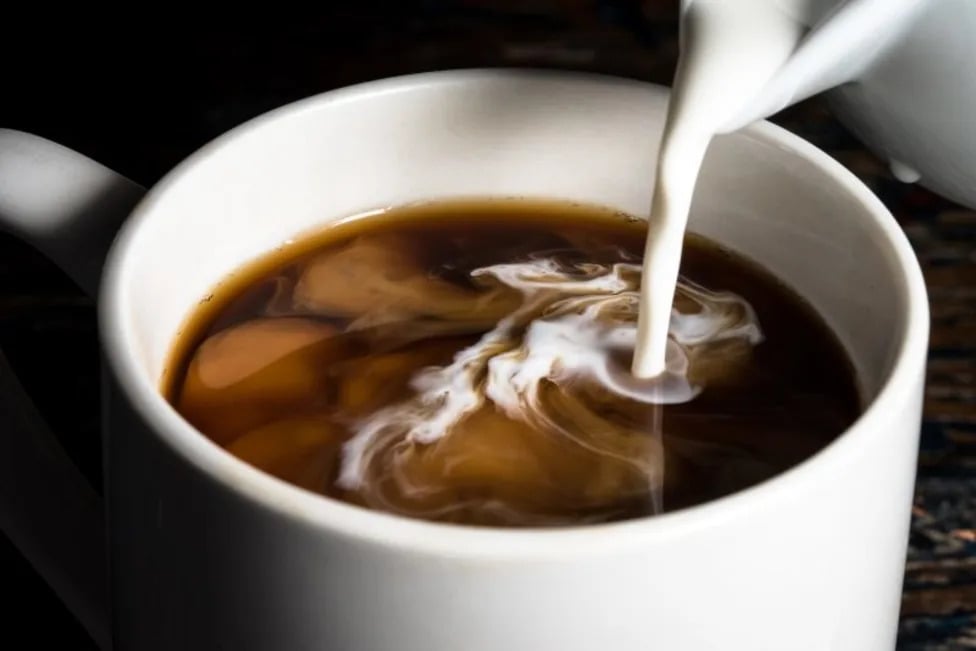 Erie Coffee Disloyalty Card Tours Local Cafes