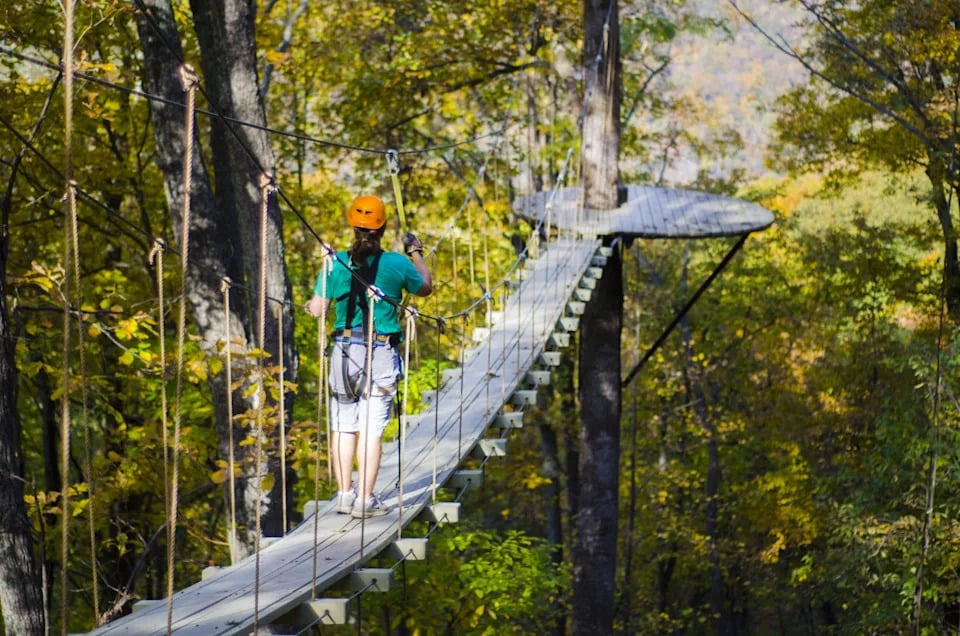 Discover Saluda: Your Essential Guide to This Hidden Gem