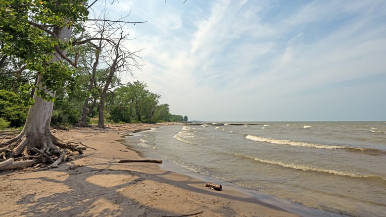 Ohio's Best Beach Camping Spots for Swimming and Adventure