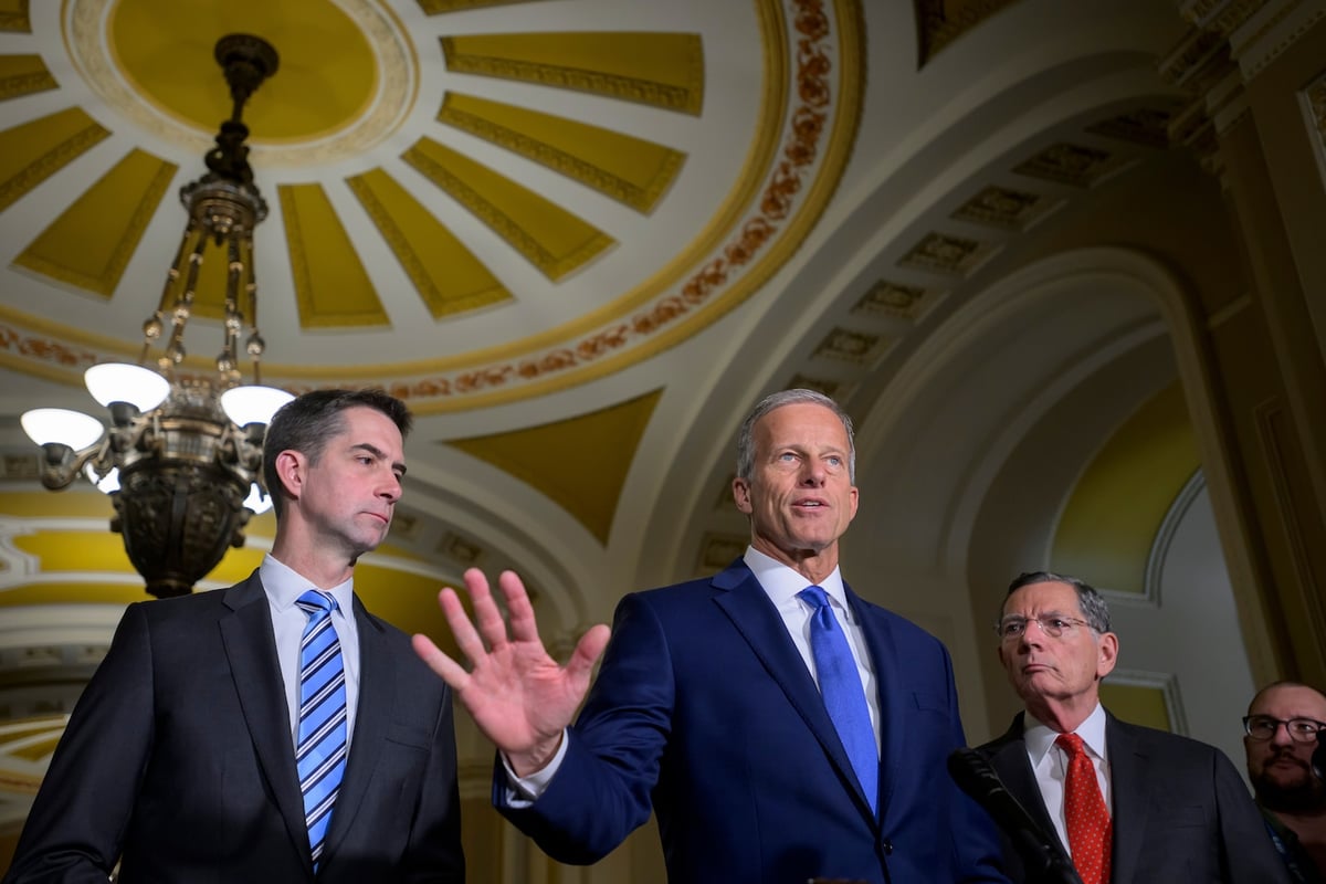 Senate GOP Delays ICE Vote Over Trump Payout Fund