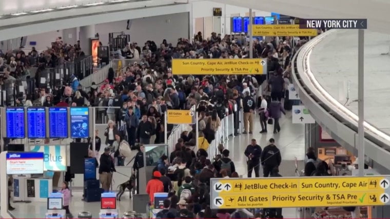 Tom Homan: ICE Agents to Aid Airport Security Amid TSA Shortages