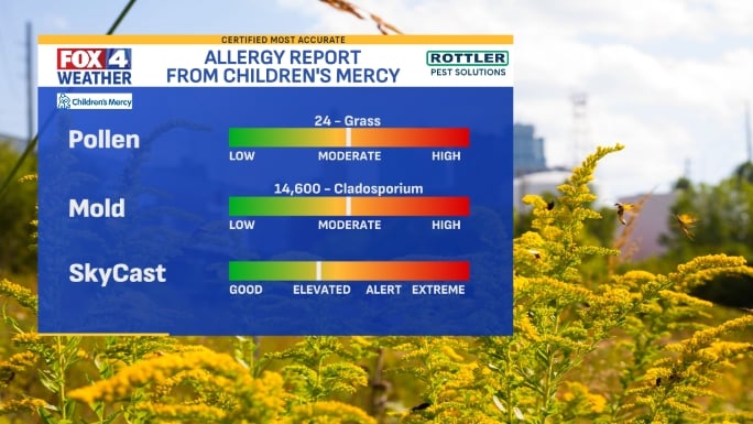 Kansas City Metro Allergy Report