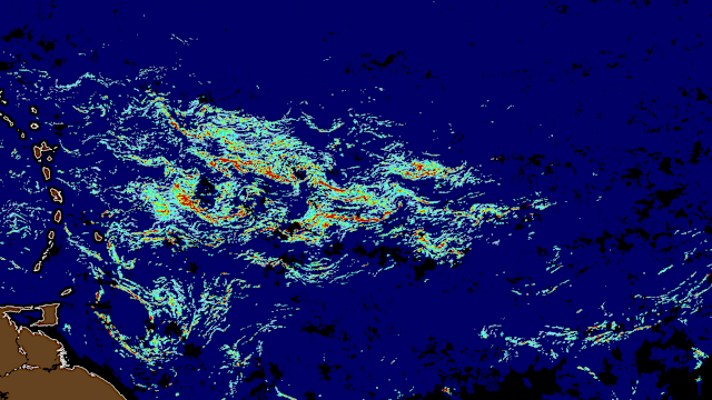 Record Sargassum Bloom Threatens Spring Break Beaches