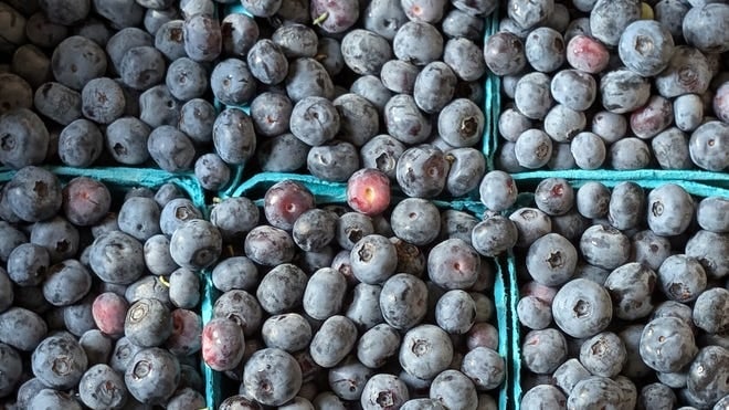 Publix Recalls Frozen Blueberries Over E. Coli Risk