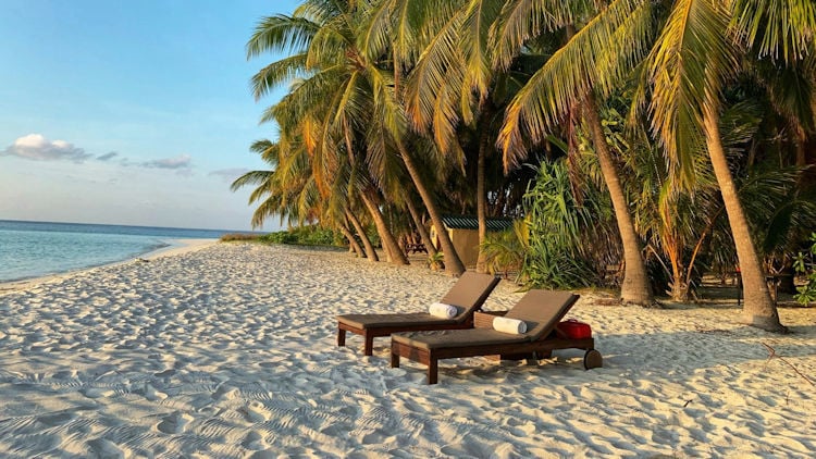 Are Micro-cations the Sustainable Choice?