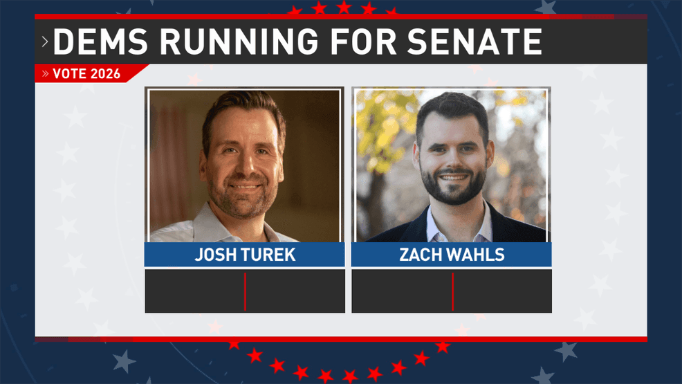 Professor Breaks Down Iowa Senate Democratic Primary