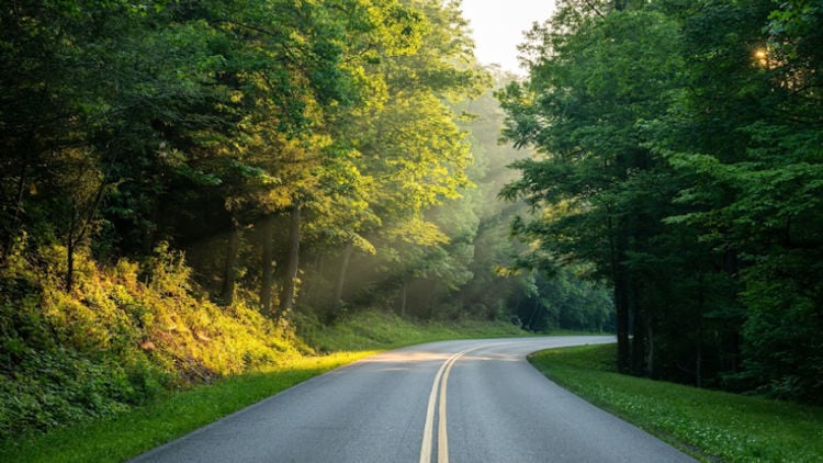 Balance Adventure and Relaxation in the Smoky Mountains