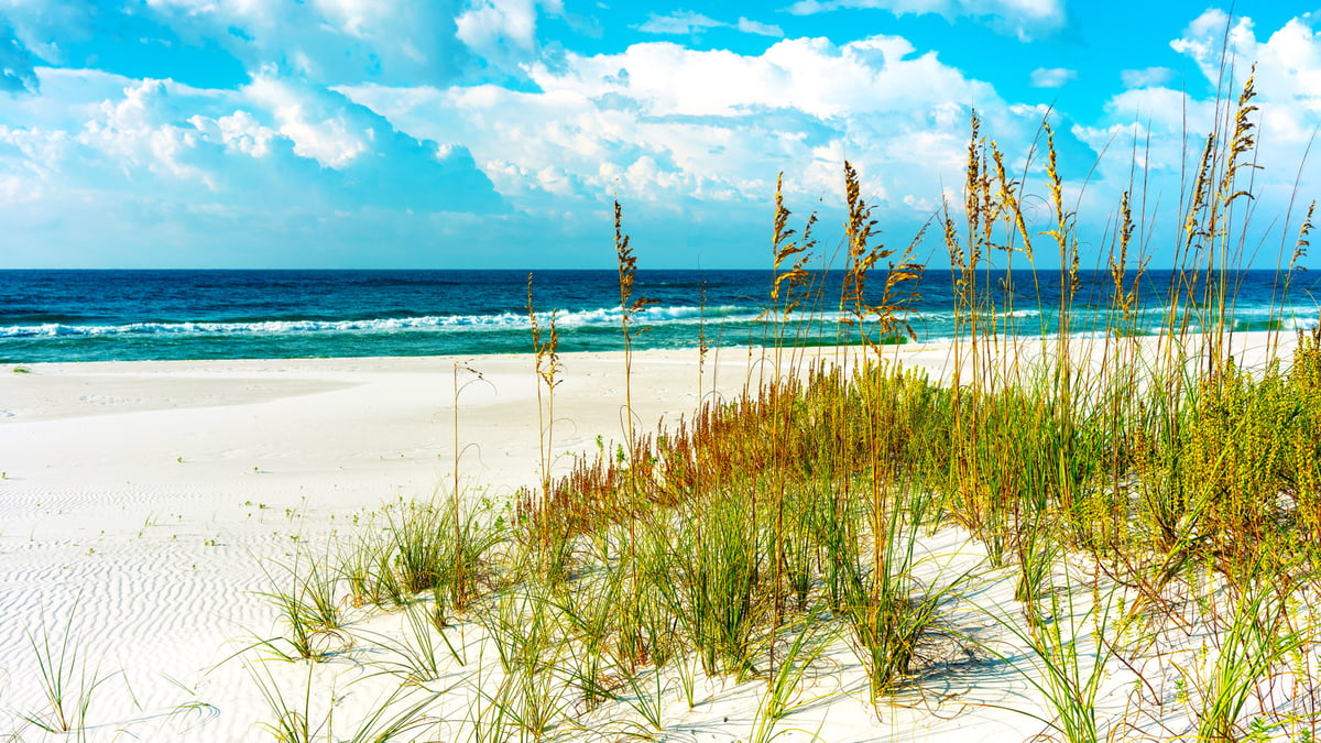 Skip Key West for This Quiet Florida Beach Town's Peak Season