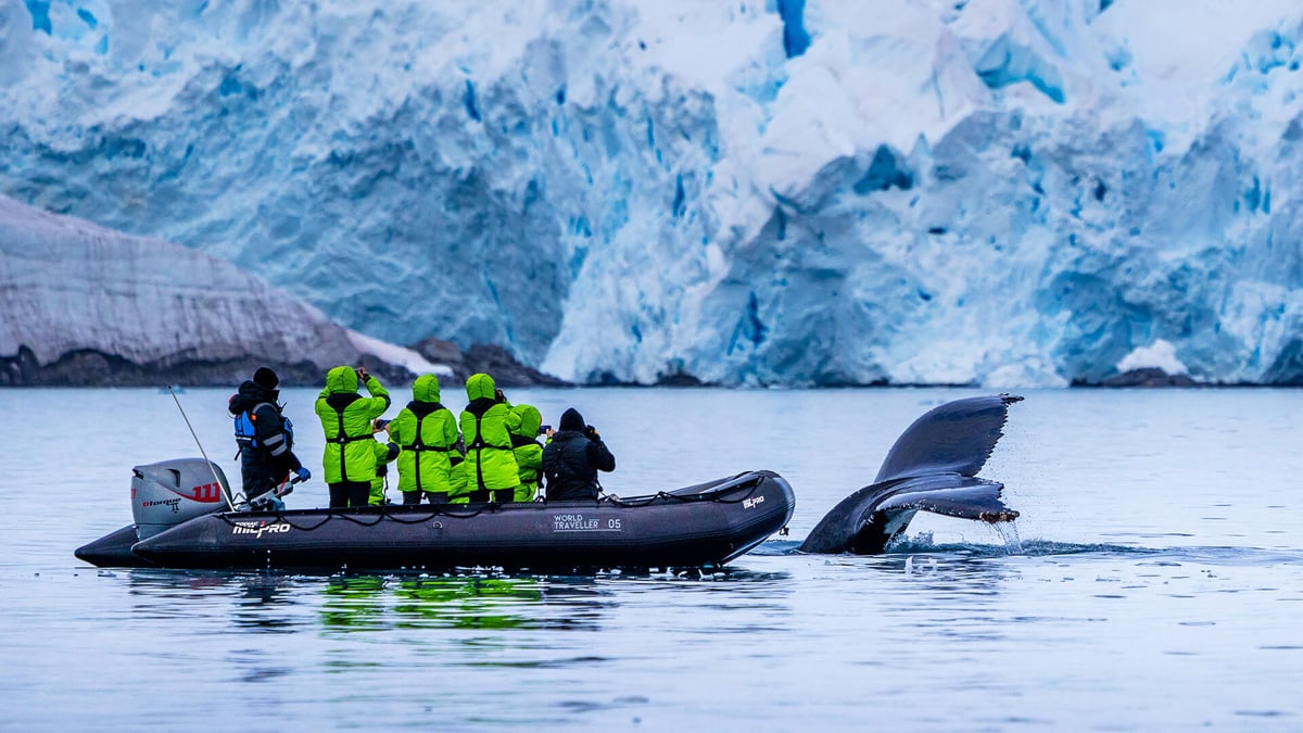 Best Antarctica Cruises for Penguins, Glaciers, Wildlife