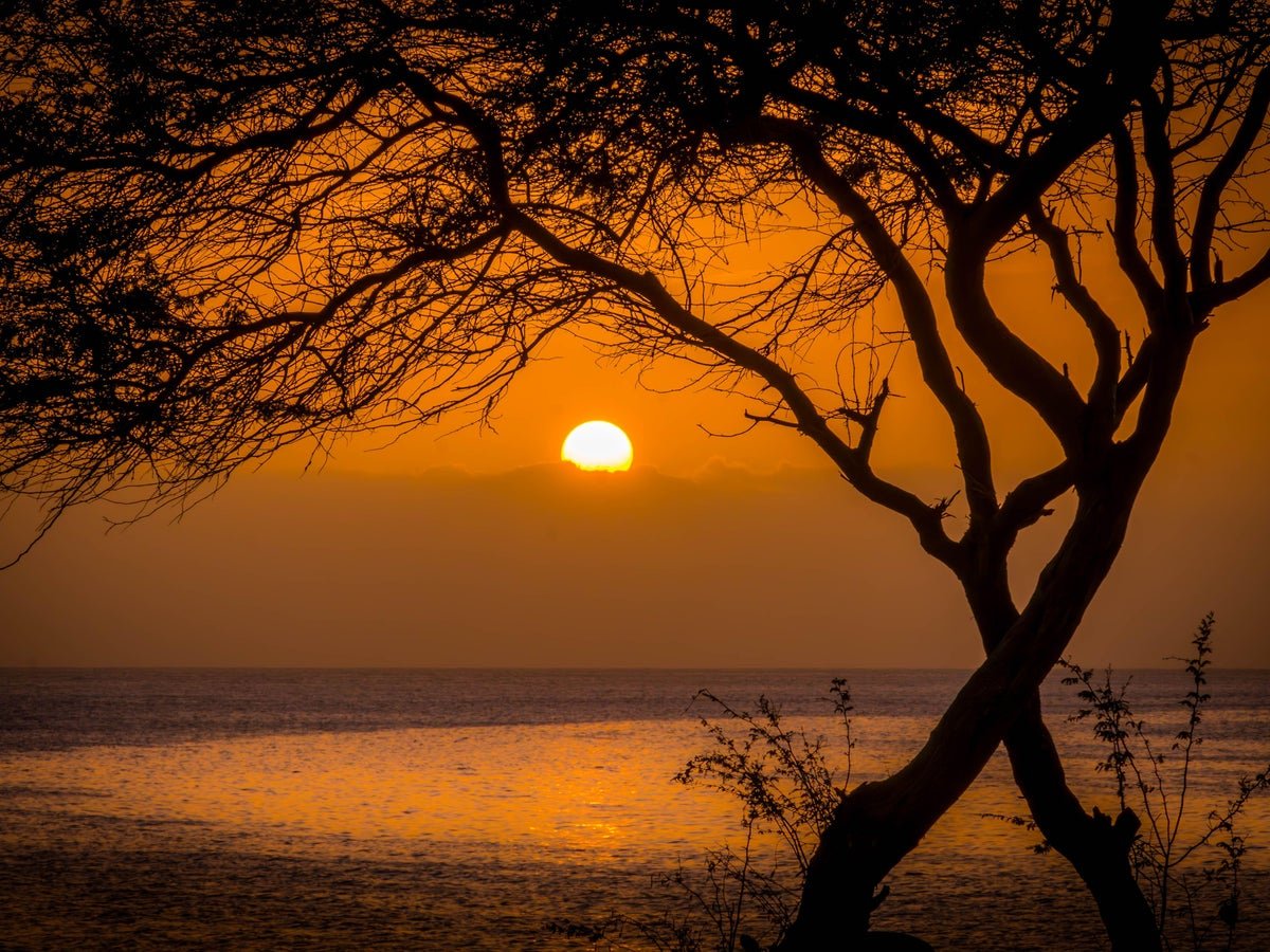 Travel Experts Share Top Summer Holiday Savings Tips