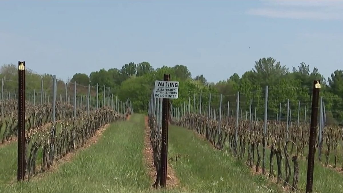 Moore Seeks Disaster Aid For Farmers Hit By Cold Snap