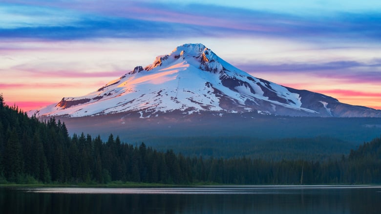 5 Free Dispersed Camping Spots in Mt. Hood Forest