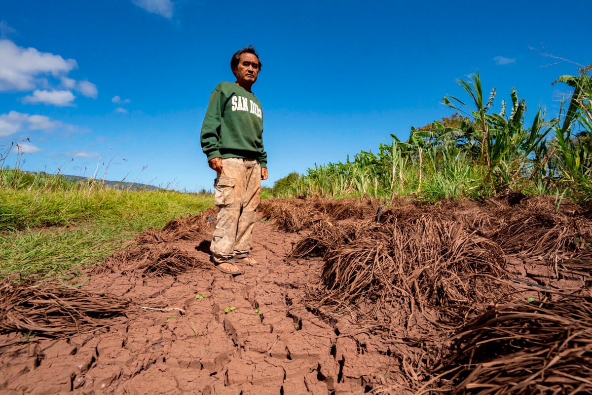 Hawaii Flooding Crushes Farmers and Shrinks Veggie Supplies