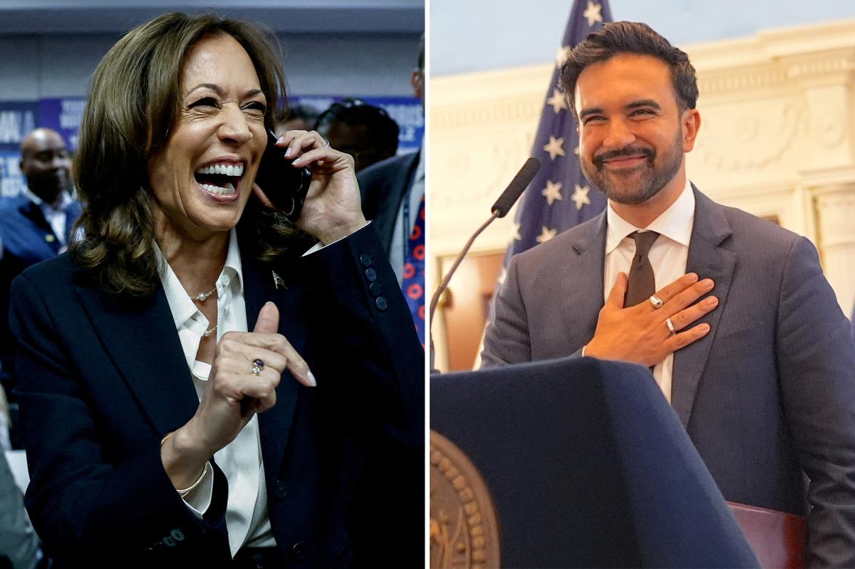 Harris Courts Anti-Israel Progressives as 2028 Primary Race Heats Up