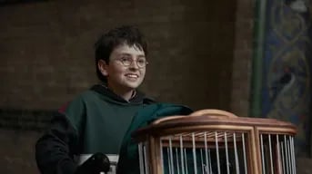 Where to Watch Harry Potter Reboot TV Series