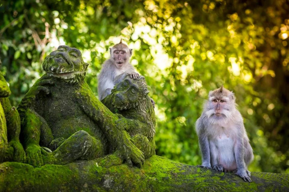 Top Luxury Destinations for Multigenerational Travel