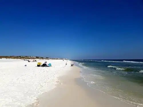 10 Best Gulf Coast Beaches in North Florida