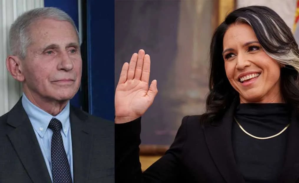 Gabbard Releases Docs Challenging Fauci's COVID Narrative