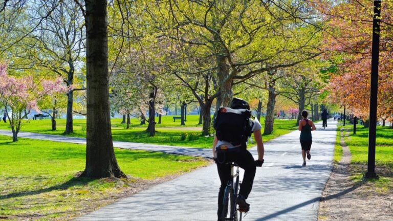 New England Botanical Garden Ranks Among U.S. Best
