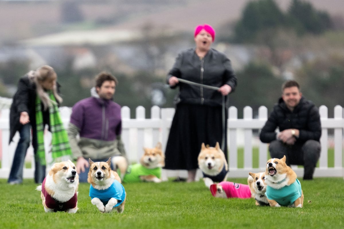 Week in Photos: April 4-10, 2026 Highlights